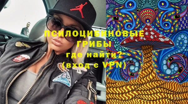 гашик Волосово