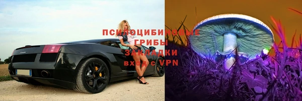 гашик Волосово