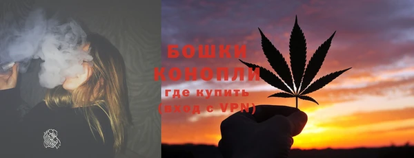 гашик Волосово