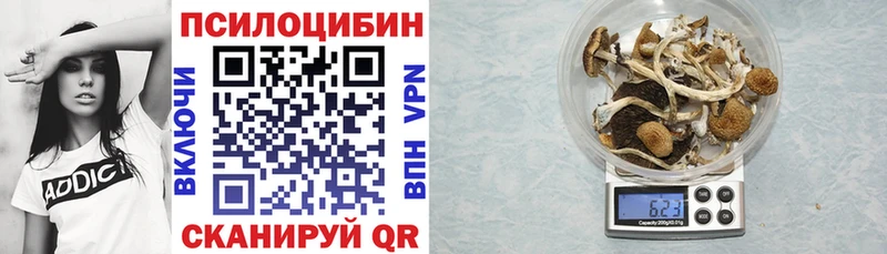 Галлюциногенные грибы MAGIC MUSHROOMS  Купить  Кохма 